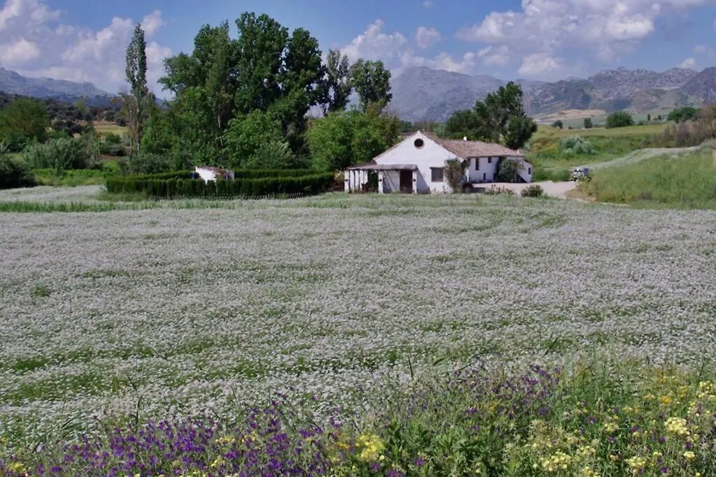 Fincaretama Farmhouse Apartment Ronda
